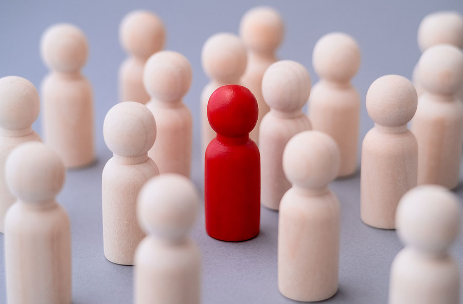 Featured image for “Leadership Requirements for Companies Considering PISCES”