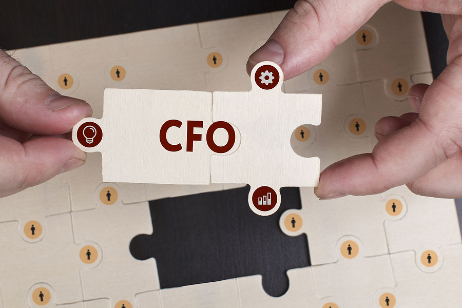 Featured image for “The Role of Experienced CFOs in PISCES Eligible Organisations”